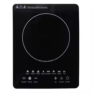 Haier Induction Cooktop
