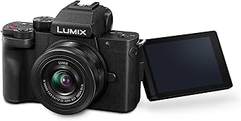 Panasonic LUMIX G100