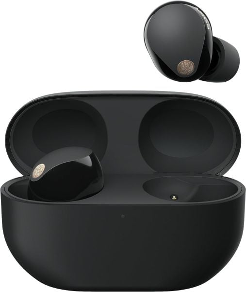 Sony Headphones
